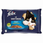 FELIX GHIOTTONERIE SA/TON4x85g