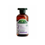 SHAMPOO ANTICA ERBORISTERIA LAVANDA ML250